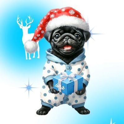 aprilsky041910's profile picture. 黒パグ、そら、男の子8歳。日々楽しく過ごしてます。
※私(以下下僕)の不手際やいいね等のモレがあったらすみません。※語彙力壊滅してるので不快な表現があったら失礼。遠慮なくブロックして下さいませ🙇‍♀️こちらは怪しい方を容赦なくブロック致します✌️