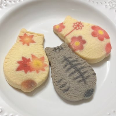 Sakuragi118's profile picture. 懸賞垢