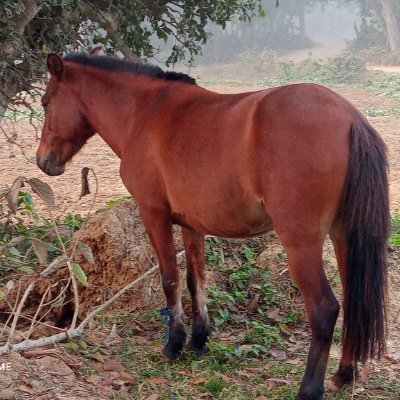 userfriend003's profile picture. 💯💯💯💯 💯 💯 💯 Follow Back 💯💯💯💯💯💯💯💯