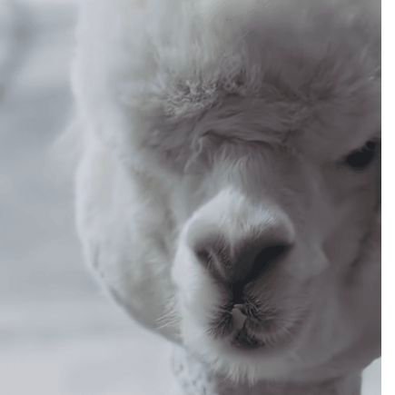 leumi8559's profile picture. 스밍해 투표해 멜론멜론 앨범상!!!!앨범상!!!!!