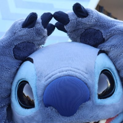 st__m03's profile picture. 