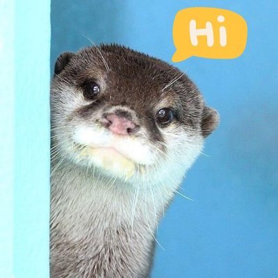 tillie_W_49's profile picture. 