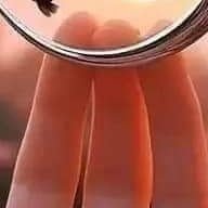 turner_ell36620's profile picture. 