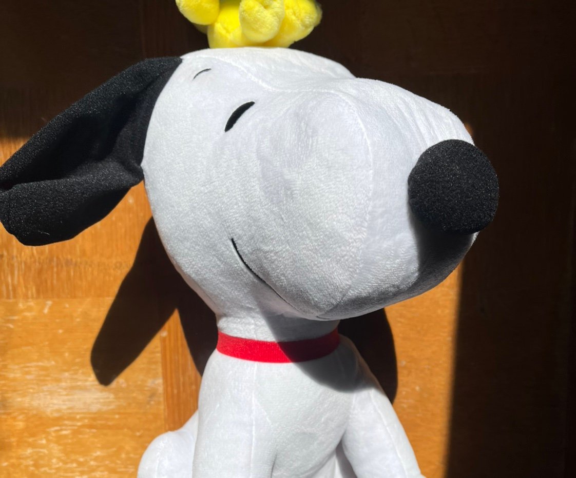 Tommy3wcf's profile picture. 