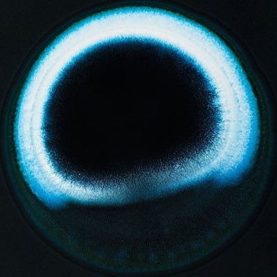 ptstudiooo's profile picture. 30.074318° N, 98.178228° W