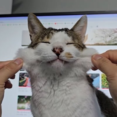 ssaejzs's profile picture. 