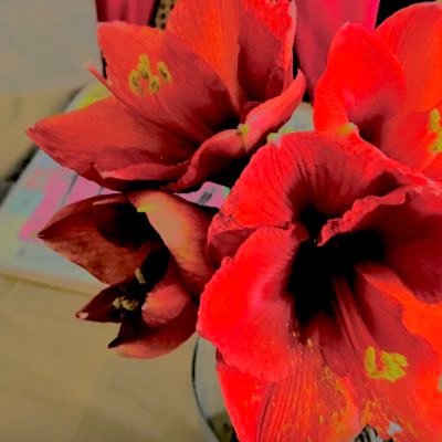 AJongova46333's profile picture. fee-based SaaS.manager own accts here. Single,Female irl.SciFi+author.Visual art promoter. My stories #AuthorBeniKJ.Screenwriter. No malpractice please. No porn