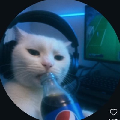 Michelle_Ourbit's profile picture. 