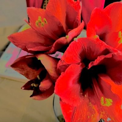 AKJhihisofunny's profile picture. Albena Jongova irl.Indie fiction art of Beni KJ.Dual citizen.Female.Single.Screenwriting occupation.Timeline is NOT screenplay.