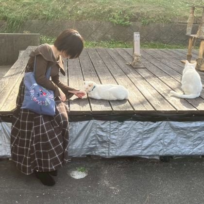 Ktym1023's profile picture. 転職エージェント→人事(25/12~)
エンジニアを中心に採用支援を行ってきました。自社の採用も頑張ります💪💪💪

合唱(混声合唱団CanTiamo)、ダイビング(PADI/OWD)、ゲーム(学マス、アンテ、ICO等何でもやります