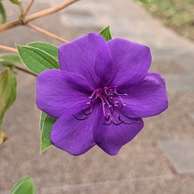 xvq310's profile picture. 20↑見る専。夢腐両方あり。いつも素敵な作品ありがとうございます。フォロバ不要です。