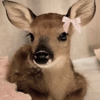 an4rchisttt's profile picture. تحسب أنك جـــرم صغير وفيك انطوى العالم الأكبر