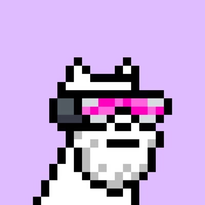 edgemeta's profile picture. CSN Spaces Host🎙️ | Truth maxi, Creator, Skater | @doginaldogs | Contact for @CryptoSpacesNet Partnerships