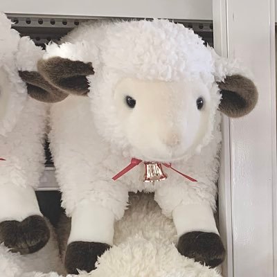 otottn_oh's profile picture. おこちゃま脳