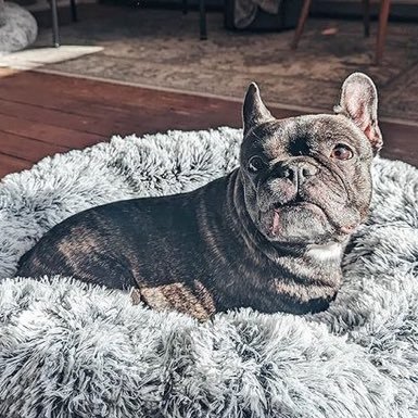 kewudola42's profile picture. "Write viral threads for busy accounts Make money, fitness, dating, crypto DM for samples & rates