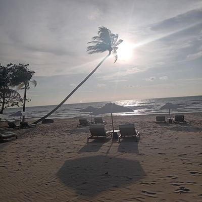 KarlSneyde74430's profile picture. 