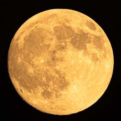 qTvYq0NDoE54943's profile picture. 🐘