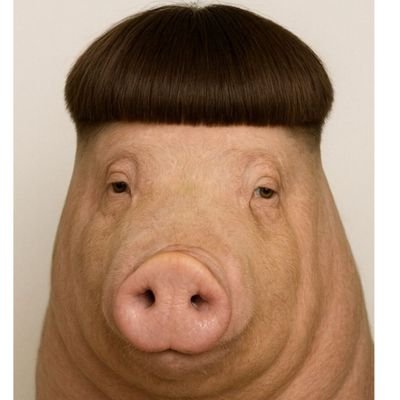 bnd_nima87914's profile picture. همش دراما. بی طرف منطقی و روانی
چپول نیستم ولی شباهت زیادی دارم بهشون(روانشناس بالینی بیمارستان شریعتی) متاهل