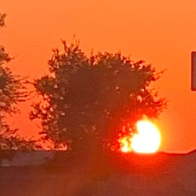 Mie_Dev's profile picture. Art