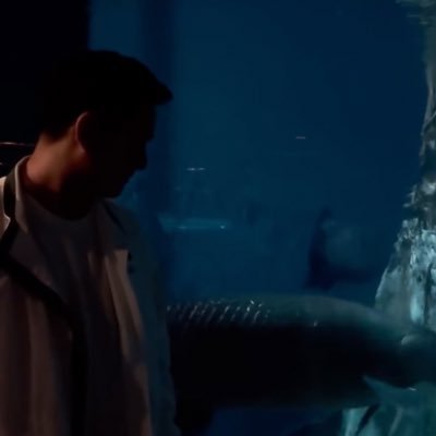 mattdvvrx's profile picture. M27 170/65 🇨🇳🇮🇩