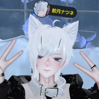 natsune_vrc's profile picture. 
