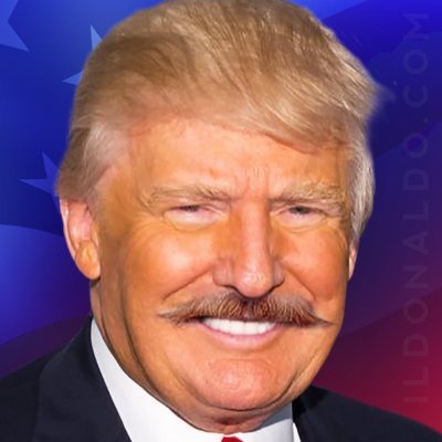 Real_supporter2's profile picture. TRUMPO SUPPORTER❤️🇺🇸