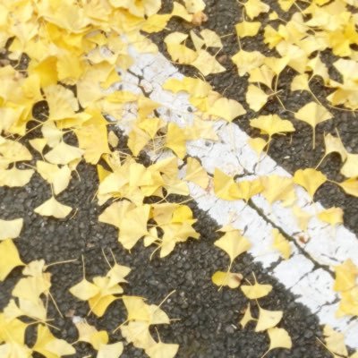 xum_umy's profile picture. 