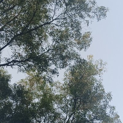 Skamrita2000's profile picture. 🙏🙏राधे राधे 🙏🙏
100% फॉलो बैक... 
x पर नयी हूँ इसलिये कृपया सभी सहयोग कीजियेगा 🙏