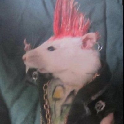 jjikjjikGWEE's profile picture. 성인 / 구독계입니다🥹