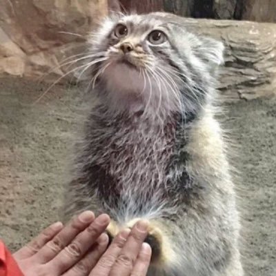 kian_remade's profile picture. in dark times, should the stars also go out?