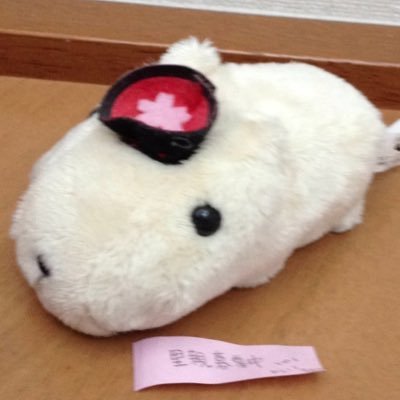 3tonen's profile picture. 톤이빈이 이녀석들이좋다