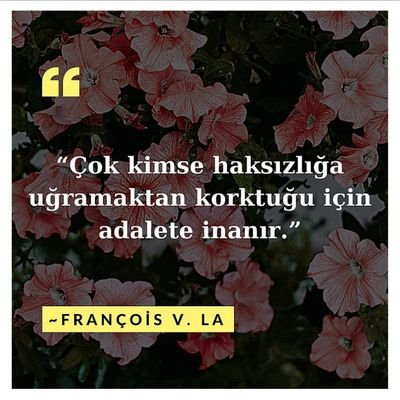 mehmetxtrk's profile picture. Devlet otoritesi en büyük hamidir. Haksızlıklarla onun vasıtasıyla (yani hukuk yoluyla) mücadele edilir ve onun vasıtasıyla (tehlikelerden) korunulur.