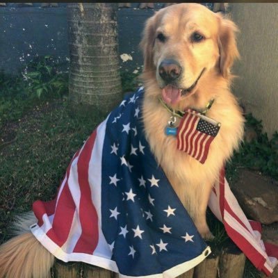 dw080857's profile picture. ## MAGA Patriot 🇺🇸🇺🇸🇺🇸🇺🇸🇺🇸🇺🇸🇺🇸