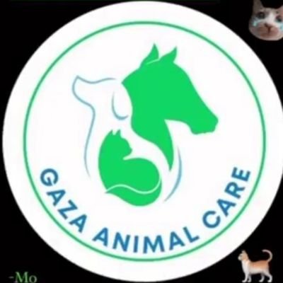 KingdomAnimal73's profile picture. Caring for voiceless street animals. 
🐈🫶❤️