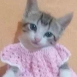 temakidsalmao's profile picture. 