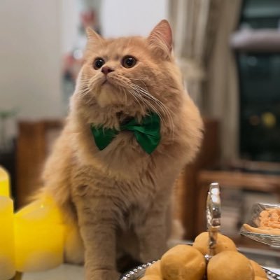 servechill139's profile picture. GOD IS DEAD 
   - Nietzsche's moustache

NGL LINK👉🏼 https://t.co/QO03ij3WR9