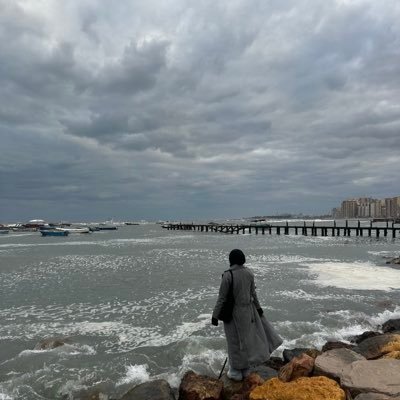 D_elnaggar's profile picture. Intern doctor- ASU