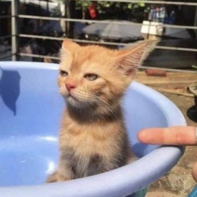 KlayThomps29923's profile picture. 