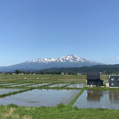 MqvwYibhUR84086's profile picture. 