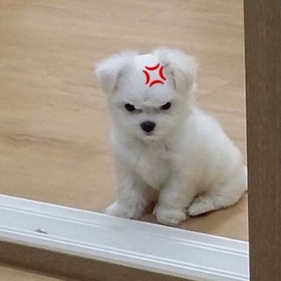 A3mCYOM's profile picture. 