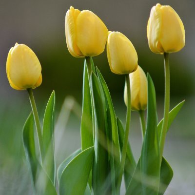 abih139_'s profile picture. 