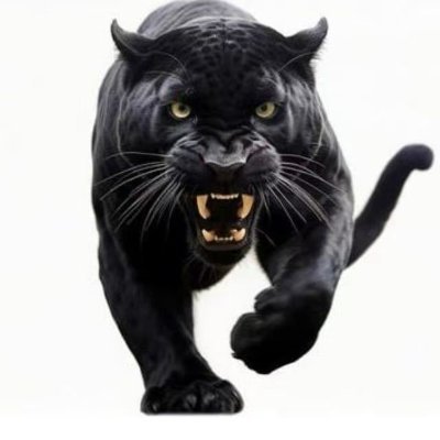 MurshidRaju's profile picture. Web3空投猎手｜聚焦行业动态、加密内幕与空投指南，持续输出高价值实操干货～ 不错过每一个潜在机会，一起解锁链上红利✨