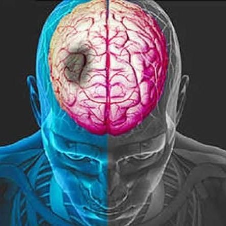 lohcoba's profile picture. 