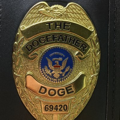 tesla_real_12's profile picture. SpaceX • Tesla • Neuralink •🚀🚀