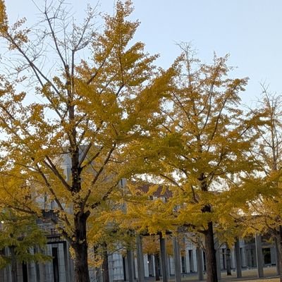 mmatsu319's profile picture. ピアノ大好き🎵