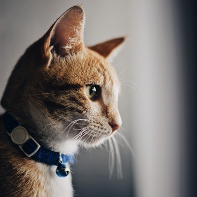 77MmKTKgLY15's profile picture. 