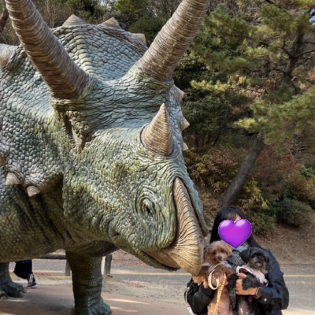 mo2_n_g's profile picture. ぬいと愛犬達　鍵アカ🗝️→https://t.co/Dgv51iekeJ