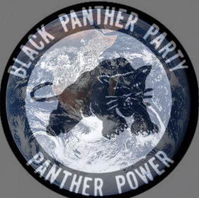 iEarthAngel369's profile picture. Move over or we gon' move over you. Enrolled at University of Nicosia  🧑🏾‍🎓
Black Panther🧸Party (GA) 🏁 @Tesla @clonerobotics @kem_app