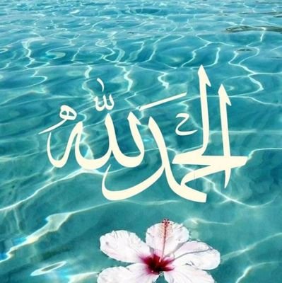 shymamohd23's profile picture. 