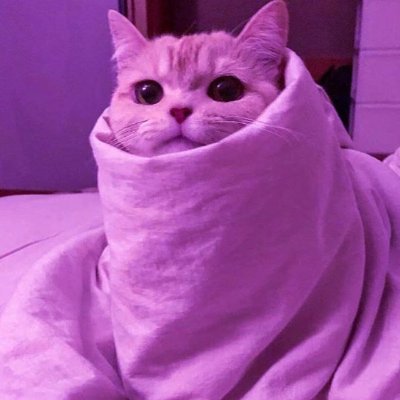 jessu_js's profile picture. 